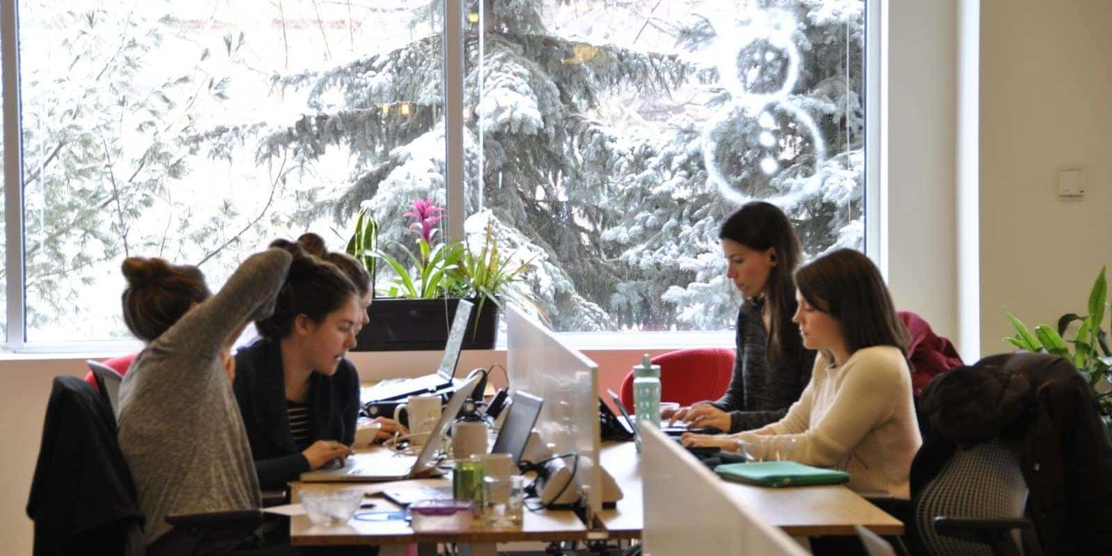 Women working hard on their project in the NGIN Workplace Cambridge Coworking area.