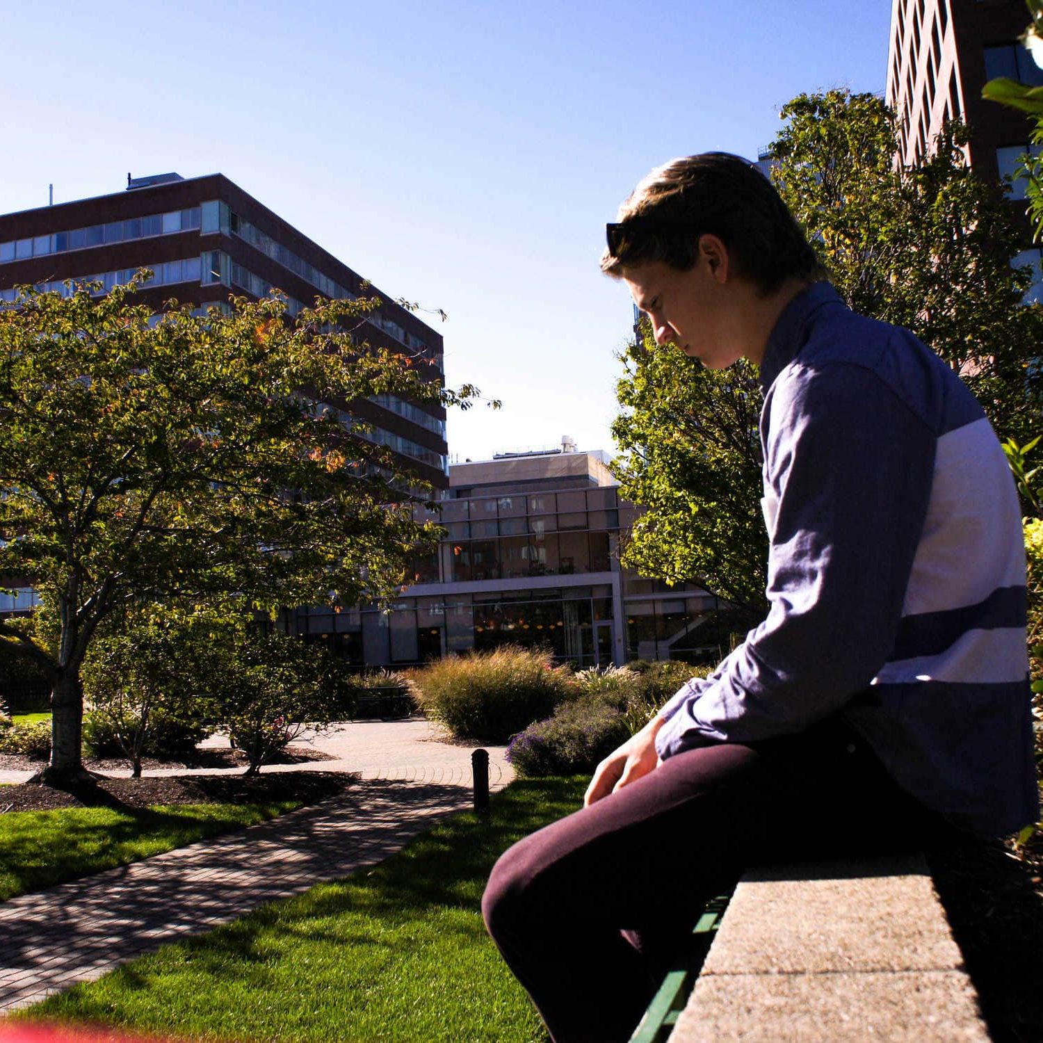 Startup world, NGIN Workplace