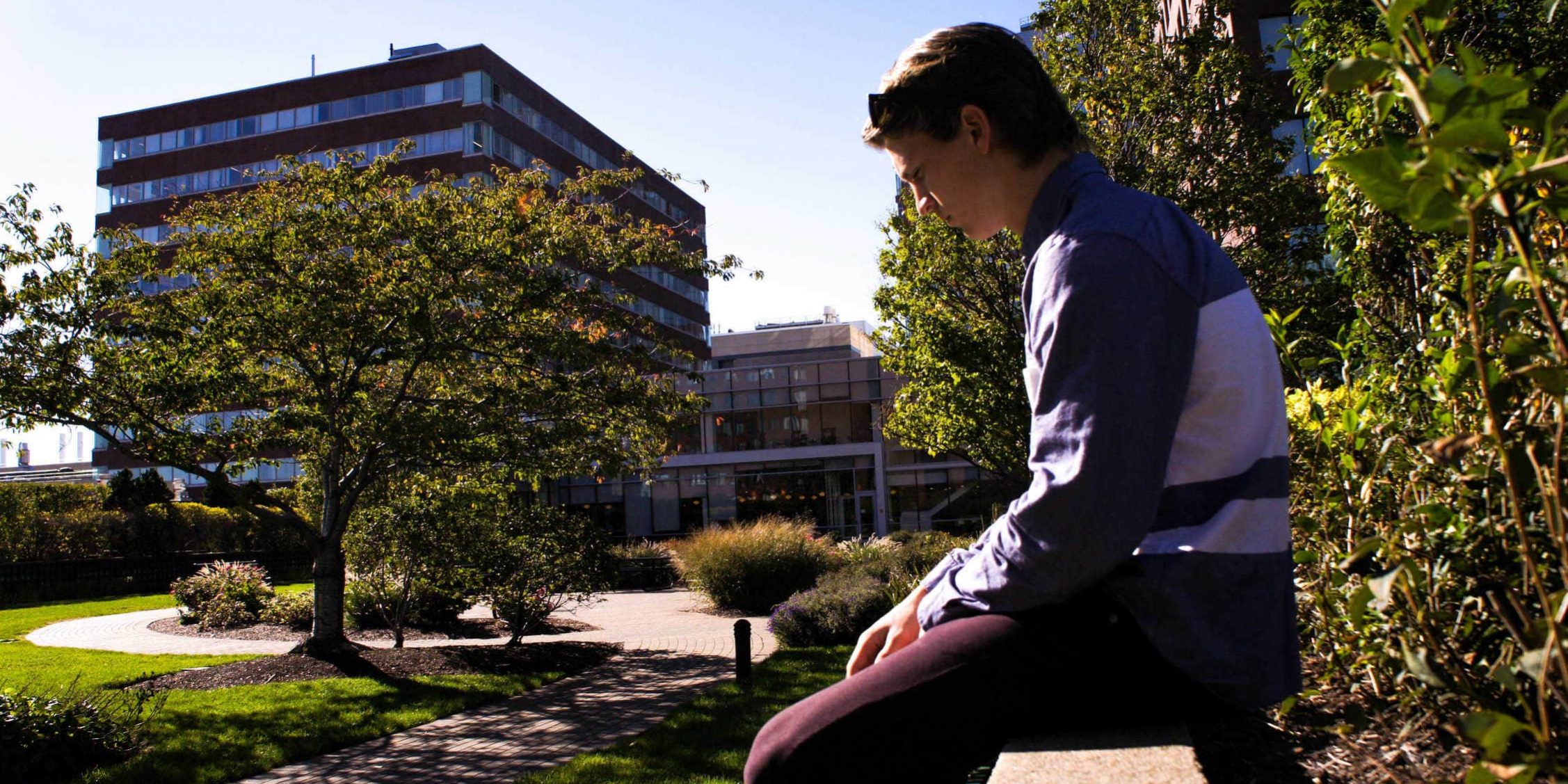 Startup world, NGIN Workplace