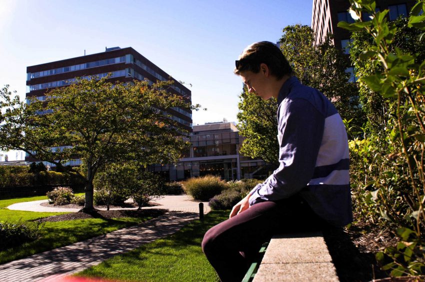 Startup world, NGIN Workplace