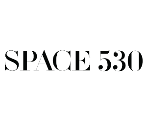 Space 530 Logo Space 530 Logo